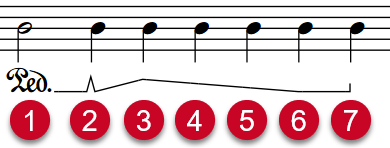 Pedal line with retake and level changes labelled